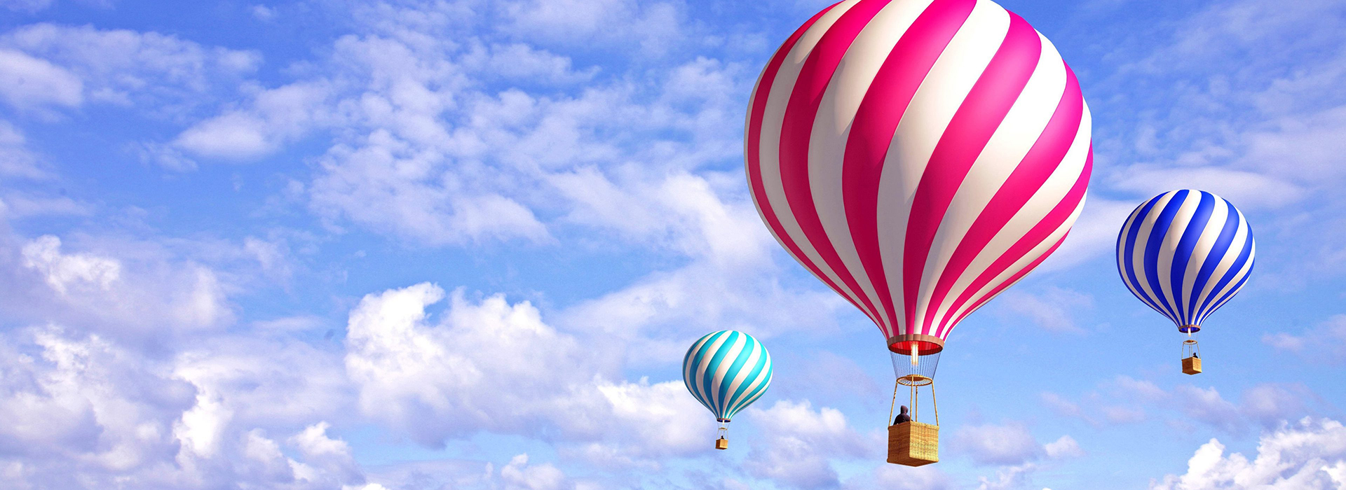 Grafika strony Recusandae facere sint.